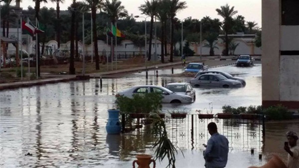 صدى العرب