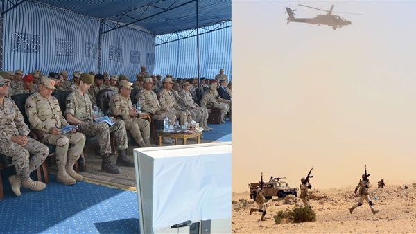 صدى العرب
