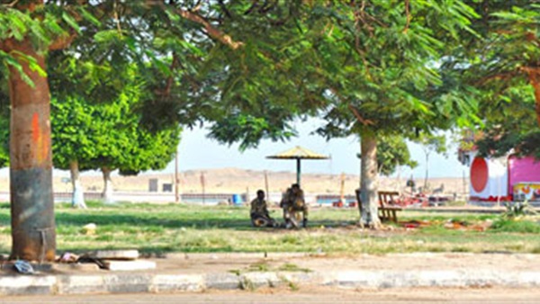 صدى العرب