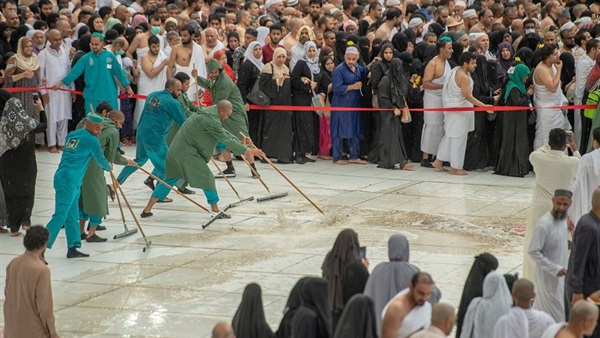 صدى العرب