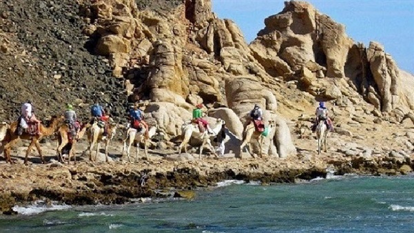 صدى العرب