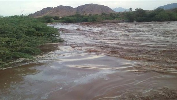 صدى العرب