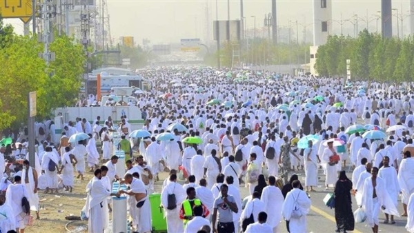 صدى العرب