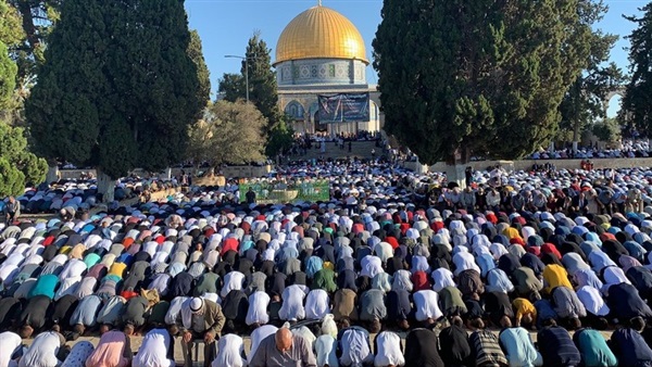 صدى العرب