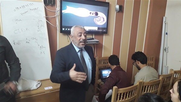 صدى العرب