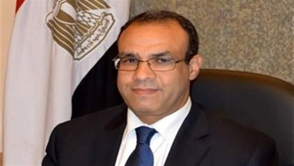 السفير بدر عبد العاطي