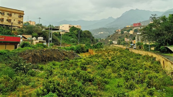 صدى العرب