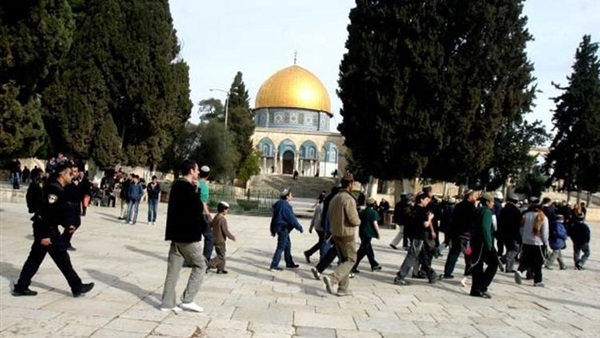 صدى العرب