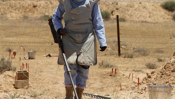 صورة أرشيفية