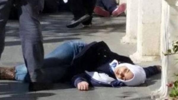 صدى العرب