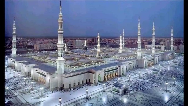 صدى العرب