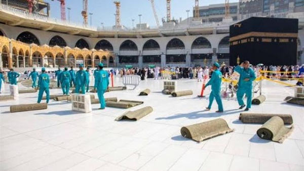 صدى العرب