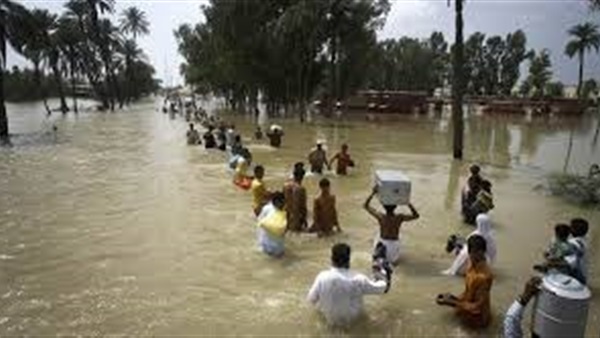 صدى العرب