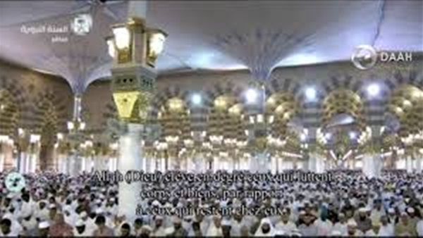 صدى العرب