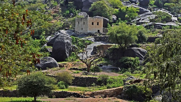 صدى العرب