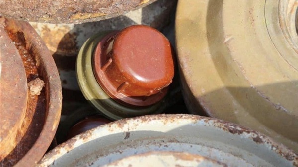 صدى العرب
