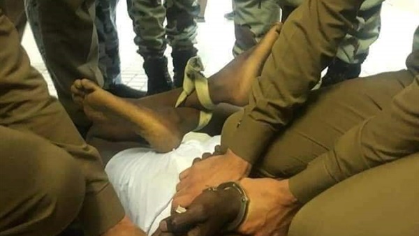 صدى العرب