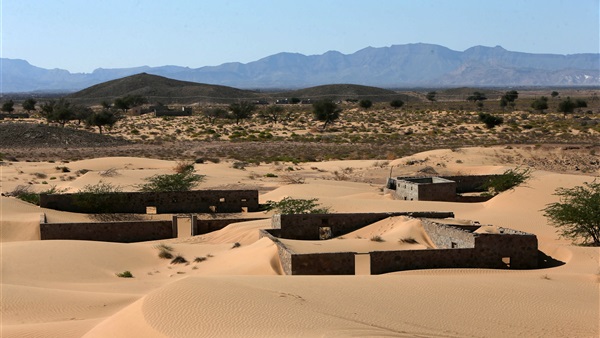 صدى العرب