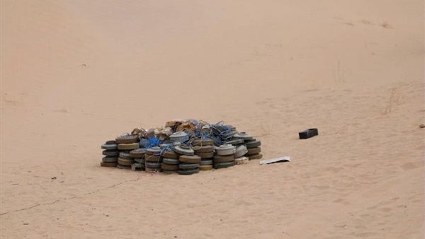 صدى العرب