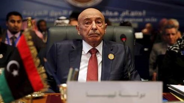 صدى العرب