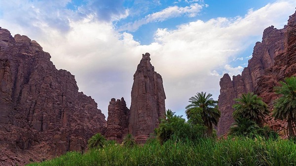 صدى العرب