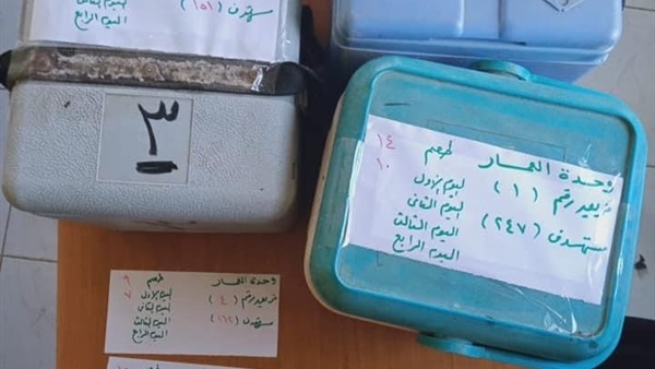 صدى العرب