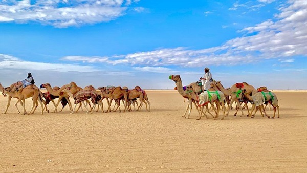 صدى العرب