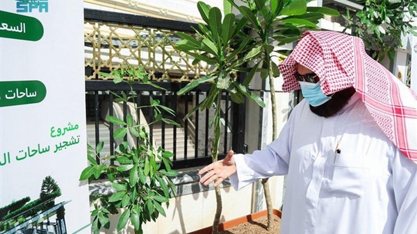 صدى العرب
