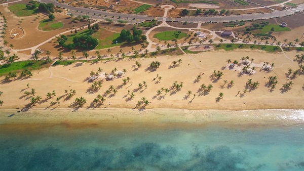صدى العرب