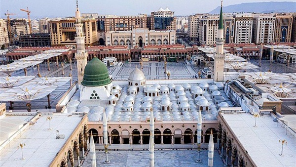صدى العرب