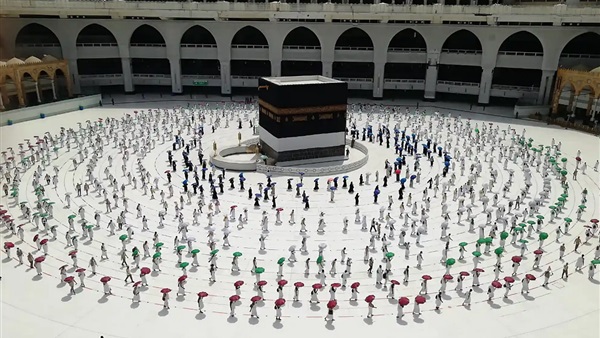 صدى العرب