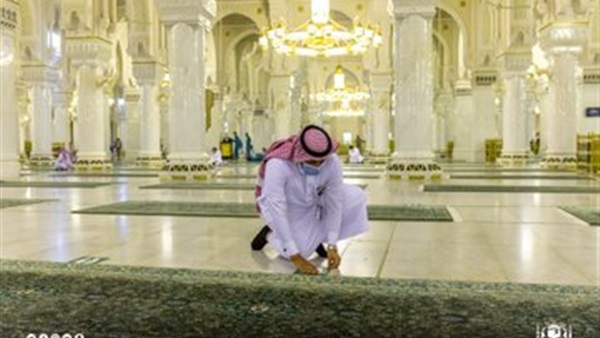 صدى العرب