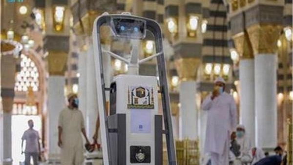صدى العرب