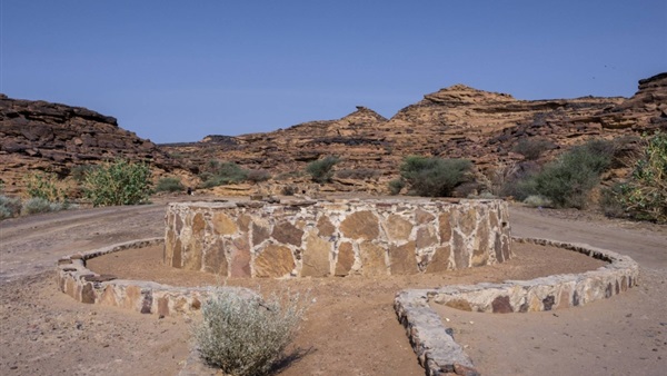 صدى العرب