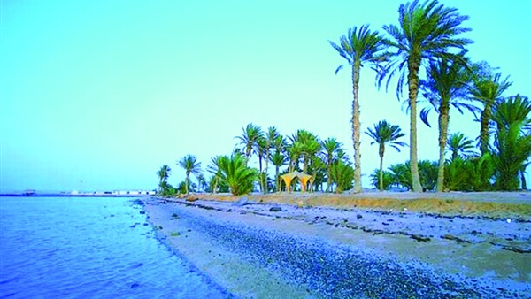 صدى العرب