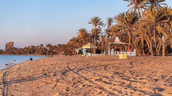 صدى العرب