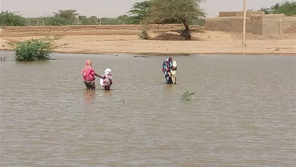 صدى العرب