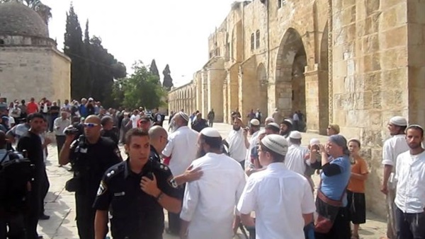 صدى العرب