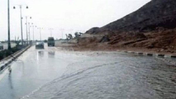 صدى العرب