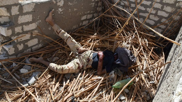 صدى العرب