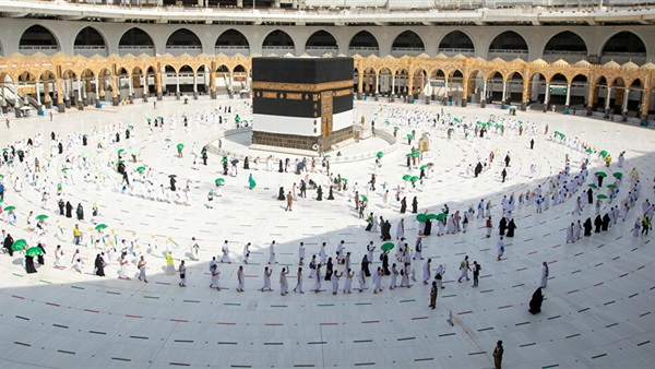 صدى العرب