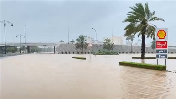 صدى العرب