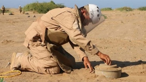 صدى العرب