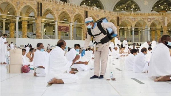 صدى العرب