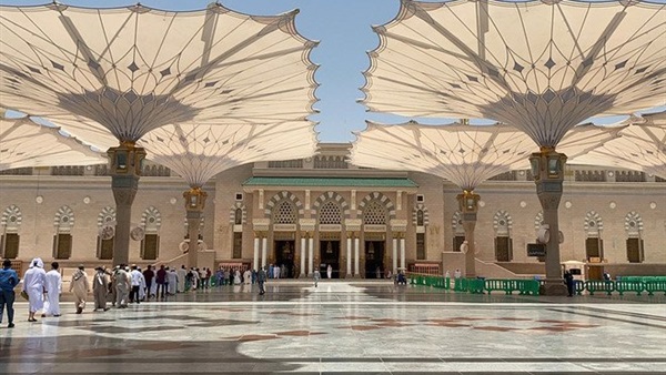 صدى العرب
