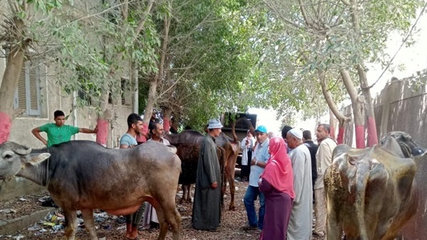صدى العرب