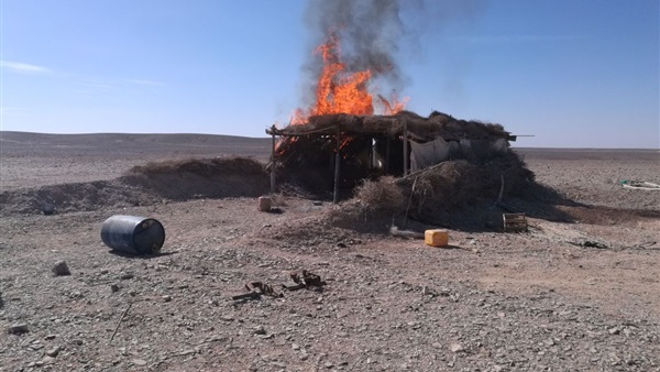 صدى العرب