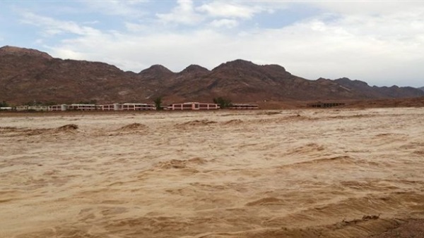 صدى العرب
