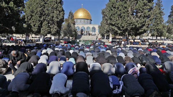 صدى العرب