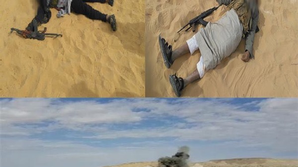 صدى العرب